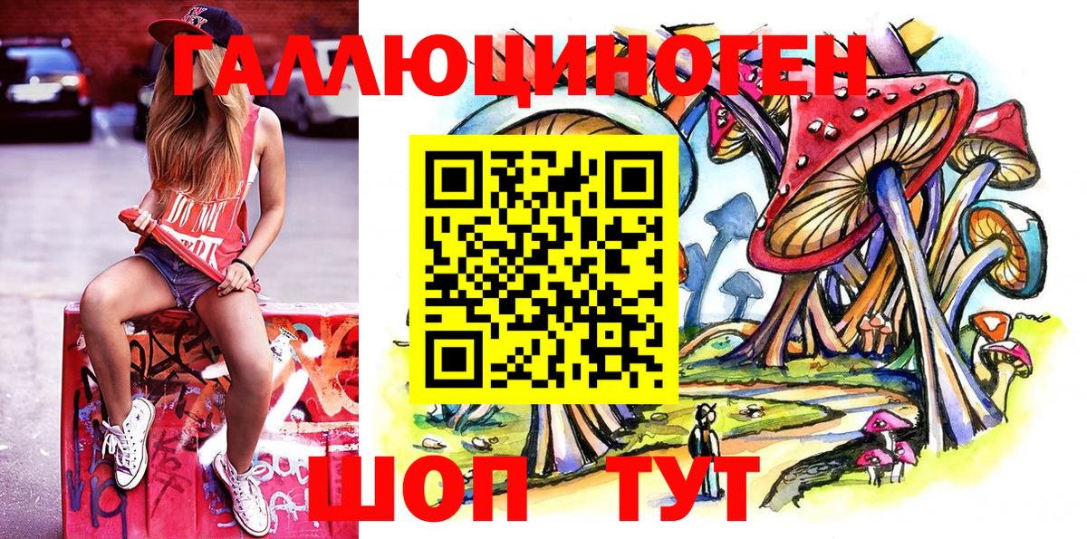 Галлюциногенные грибы GOLDEN TEACHER  Галлюциногенные грибы GOLDEN TEACHER  Гай  Вход с VPN 
