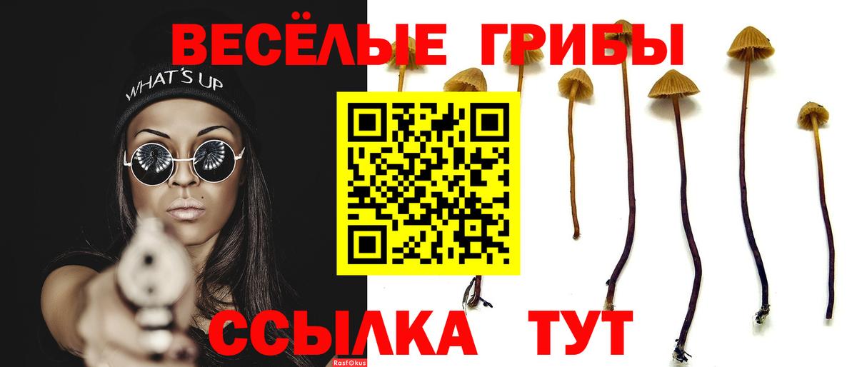 Галлюциногенные грибы MAGIC MUSHROOMS Гай
